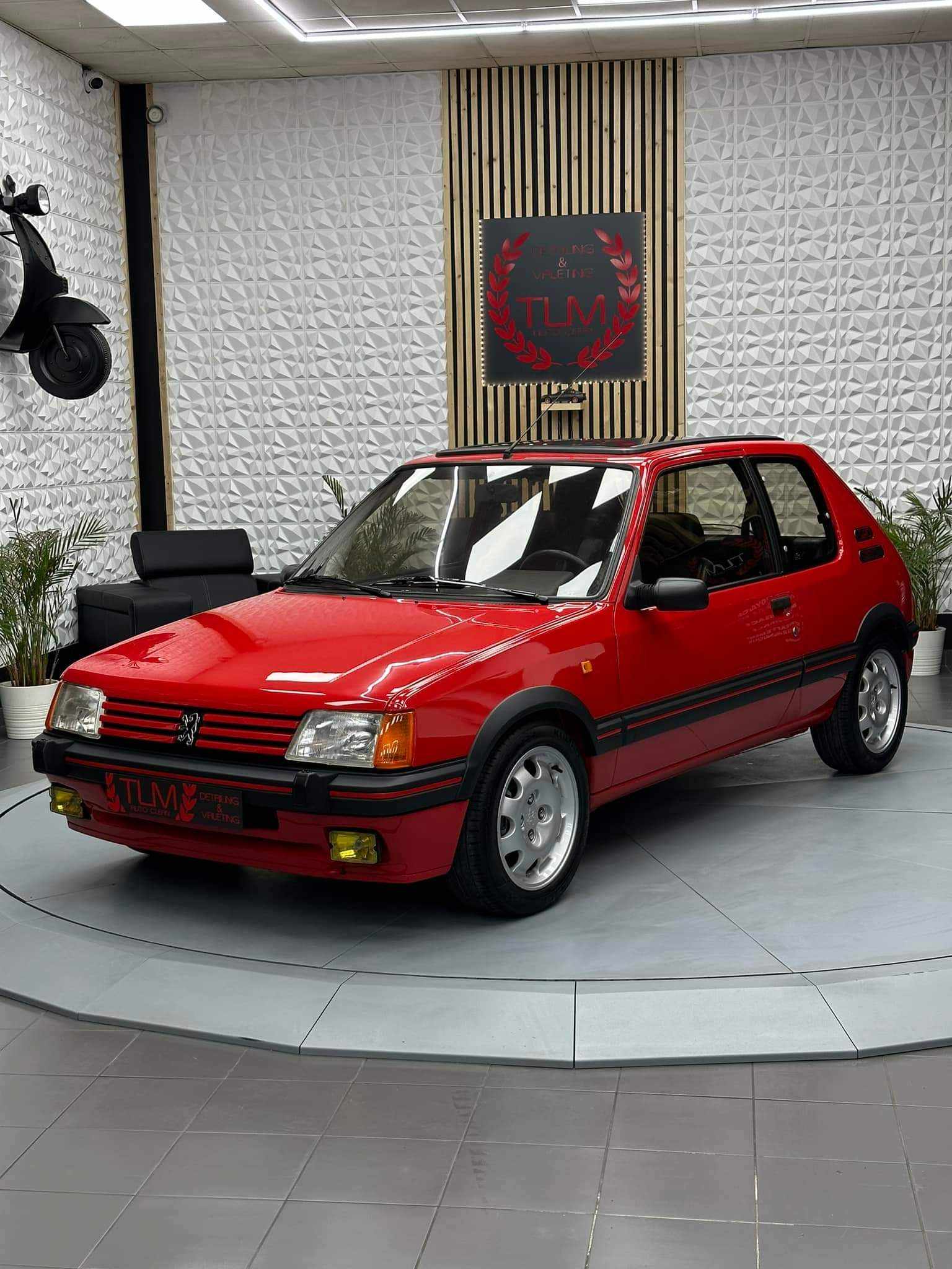 Renovation 205GTi - Photo 147