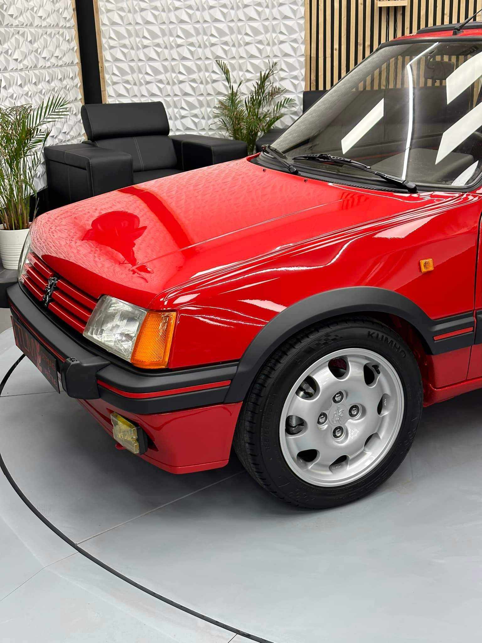 Renovation 205GTi - Photo 148