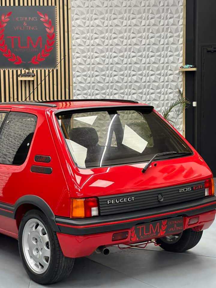 Renovation 205GTi - Photo 151