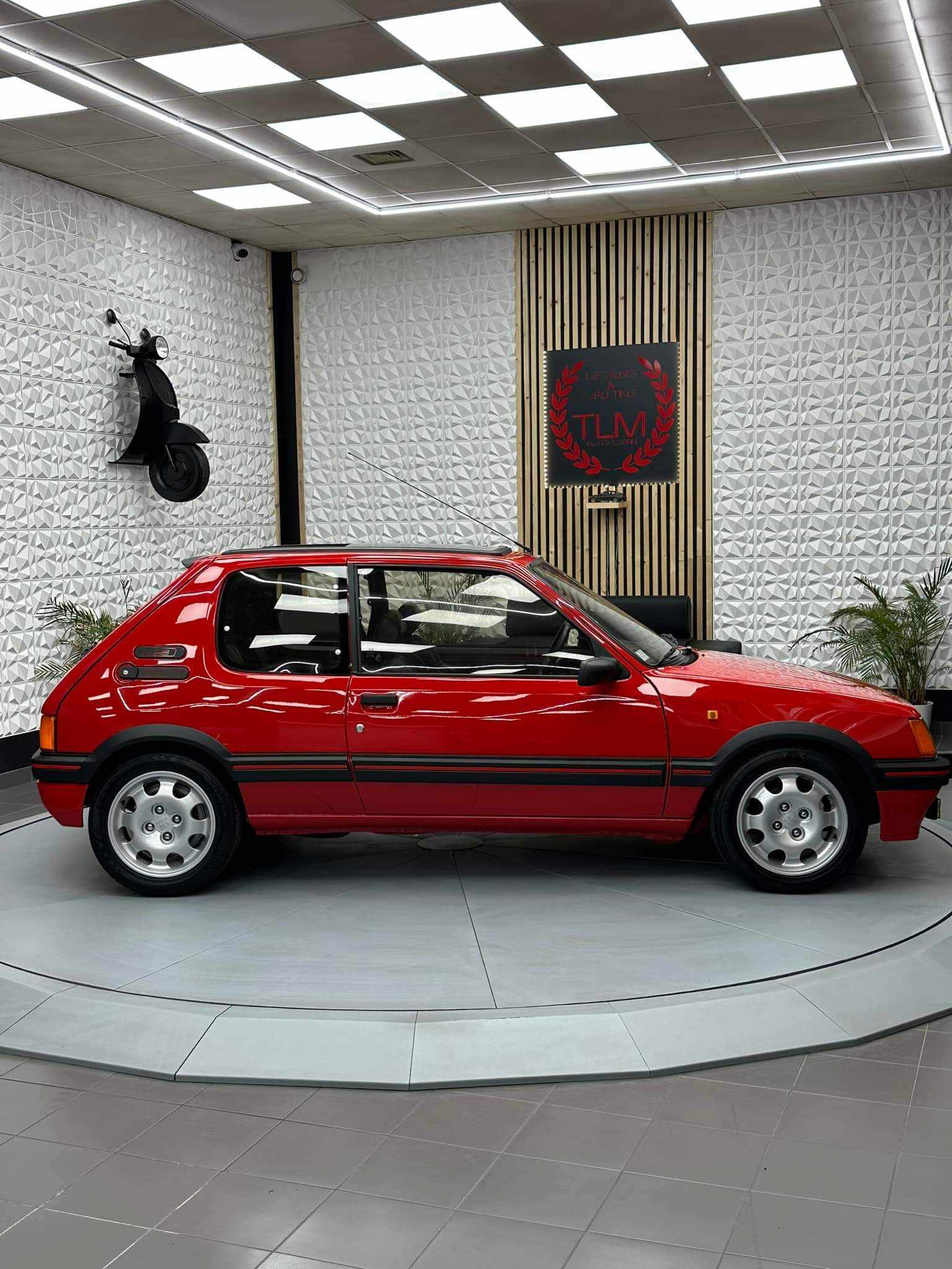 Renovation 205GTi - Photo 154