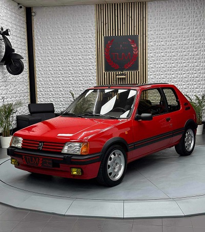 R�novation 205 GTi Photo 147